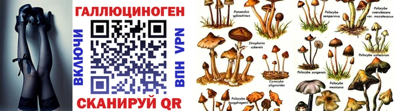 купить  цена  Ханты-Мансийск  Галлюциногенные грибы Magic Shrooms 